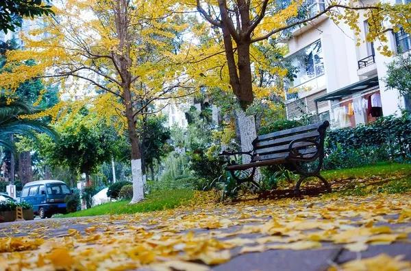 微信圖片_20191217201709.jpg 微信圖片_20191217201709.jpg